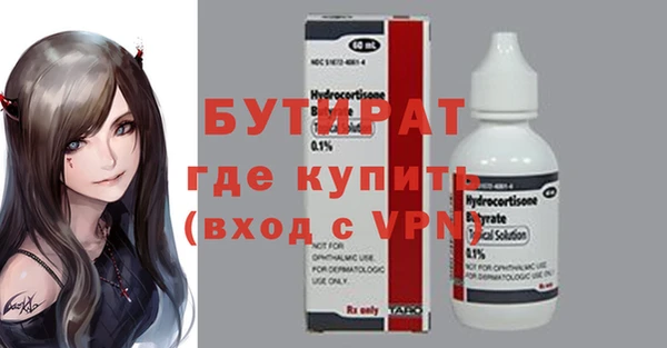 индика Няндома