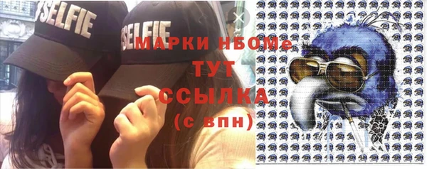 индика Няндома