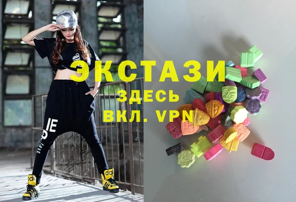 индика Няндома