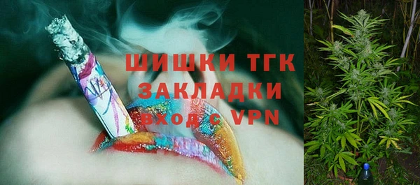 дурь Арсеньев