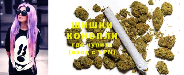 дурь Арсеньев
