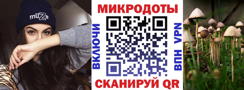 Галлюциногенные грибы Psilocybe Солнечногорск